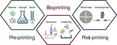 Hydrogels for Bioprinting: A Systematic Review of Hydrogels Synthesis, Bioprinting Parameters, and Bioprinted Structures Behavior